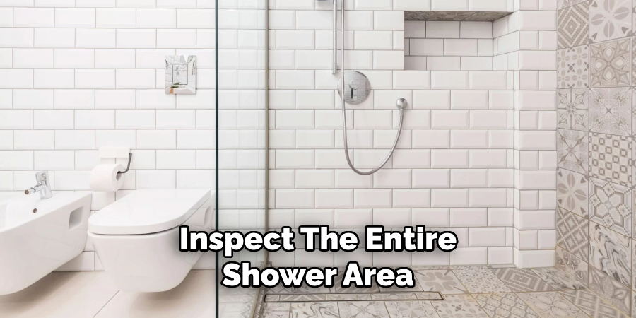 Inspect the Entire Shower Area