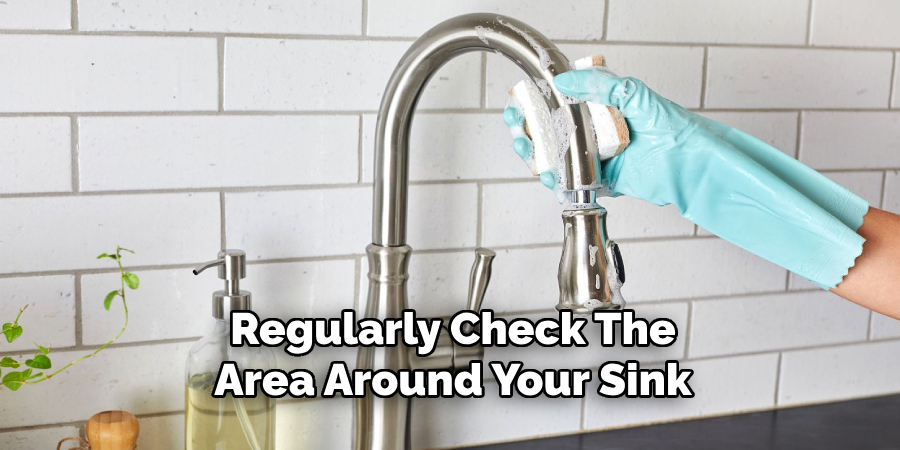 Regularly Check the Area Around Your Sink