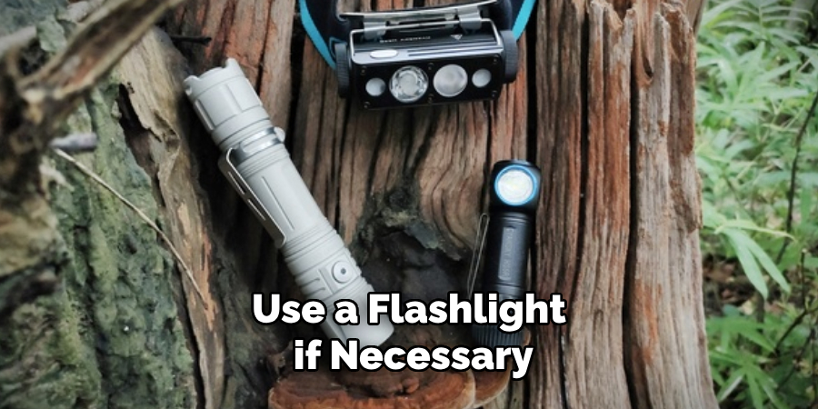 Use a Flashlight if Necessary