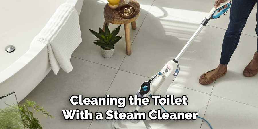 Cleaning the Toilet 
With a Steam Cleaner