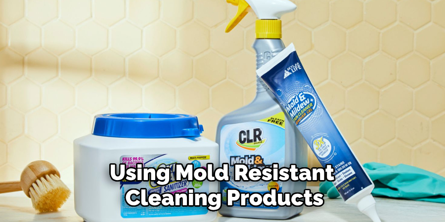 Using Mold Resistant Cleaning Products