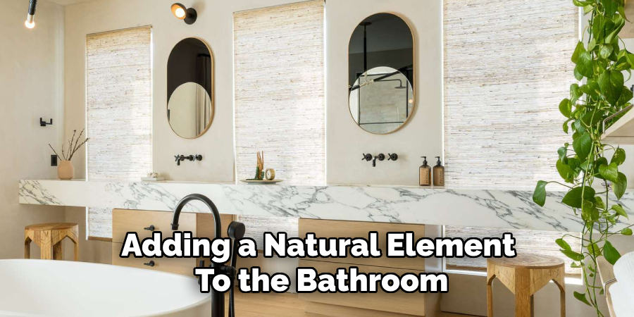 Adding a Natural Element to the Bathroom