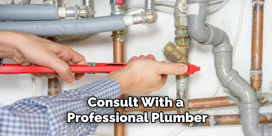 Consult With a Professional Plumber