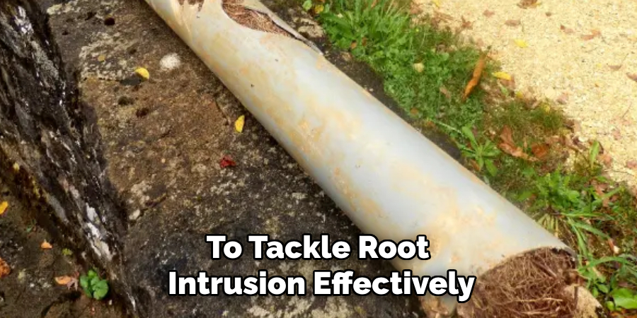 To Tackle Root Intrusion Effectively