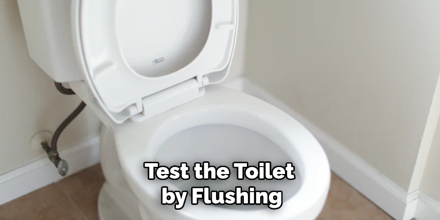 Test the Toilet 
by Flushing