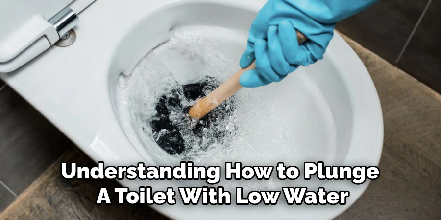 Understanding How to Plunge a Toilet With Low Water