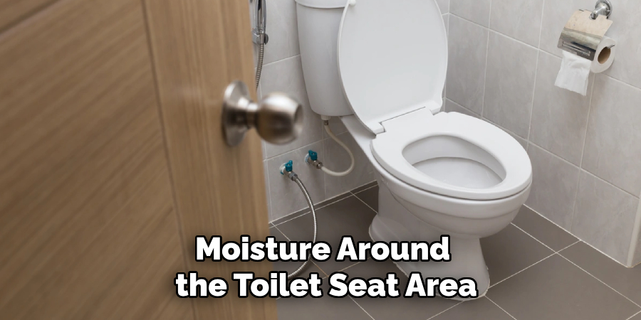 Moisture Around the Toilet Seat Area