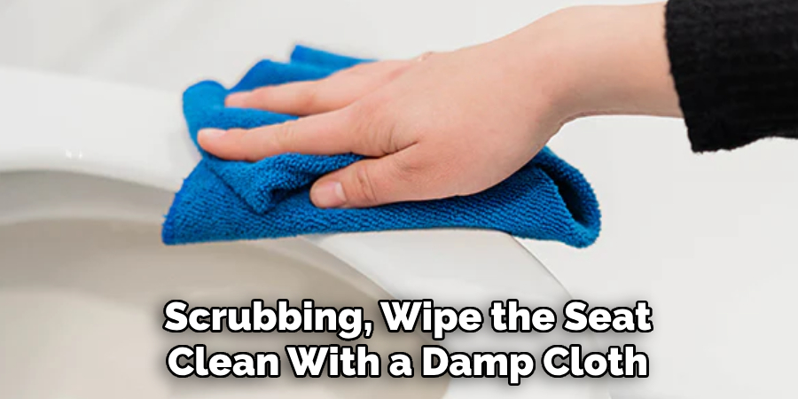 Scrubbing, Wipe the Seat Clean With a Damp Cloth