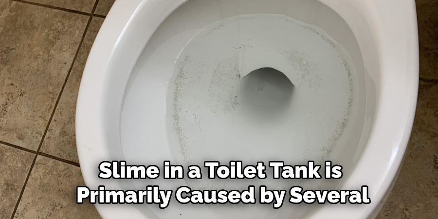 Slime in a Toilet Tank is Primarily Caused by Several