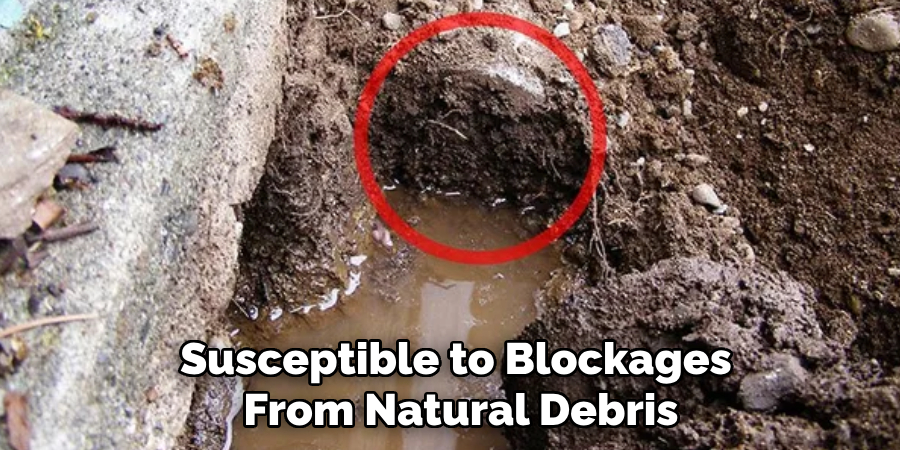 Susceptible to Blockages From Natural Debris