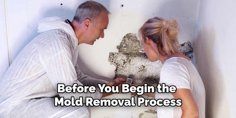 Before You Begin the 
Mold Removal Process