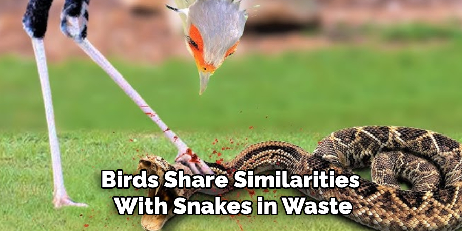 Birds Share Similarities 
With Snakes in Waste