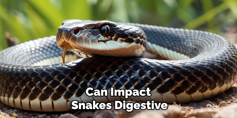 Can Impact 
Snakes Digestive