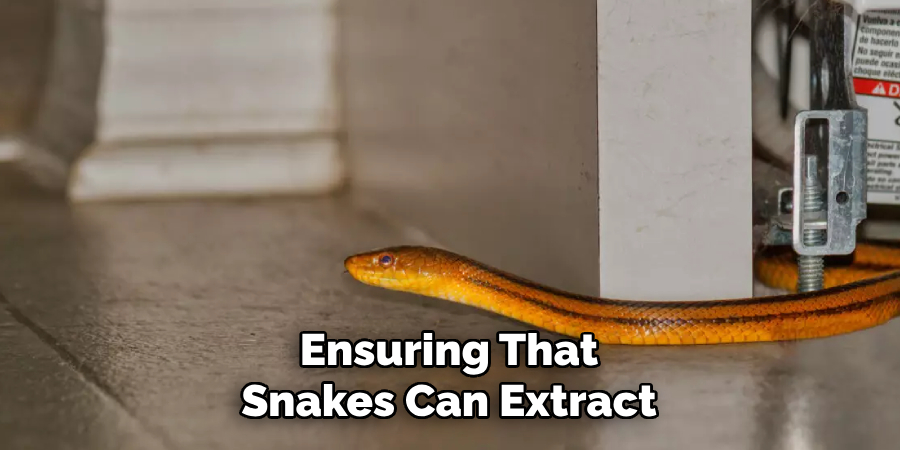 Ensuring That 
Snakes Can Extract 