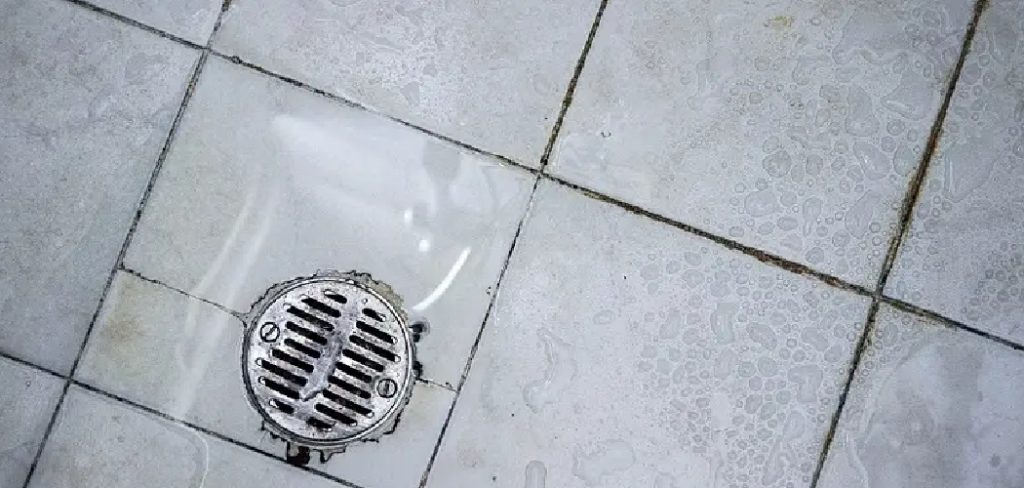 How to Get Rid of Drain Worms in Shower