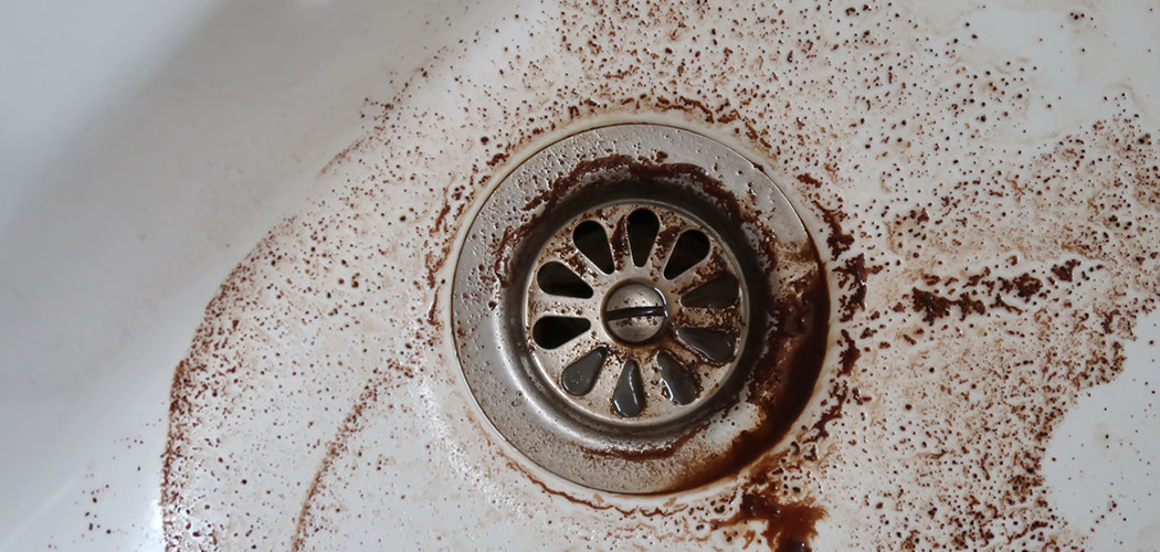 How to Dissolve Coffee Grounds in Shower Drain