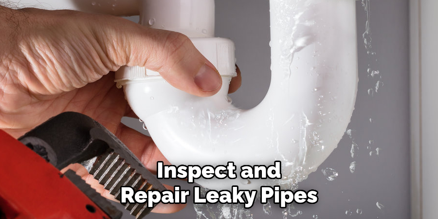 Inspect and Repair Leaky Pipes