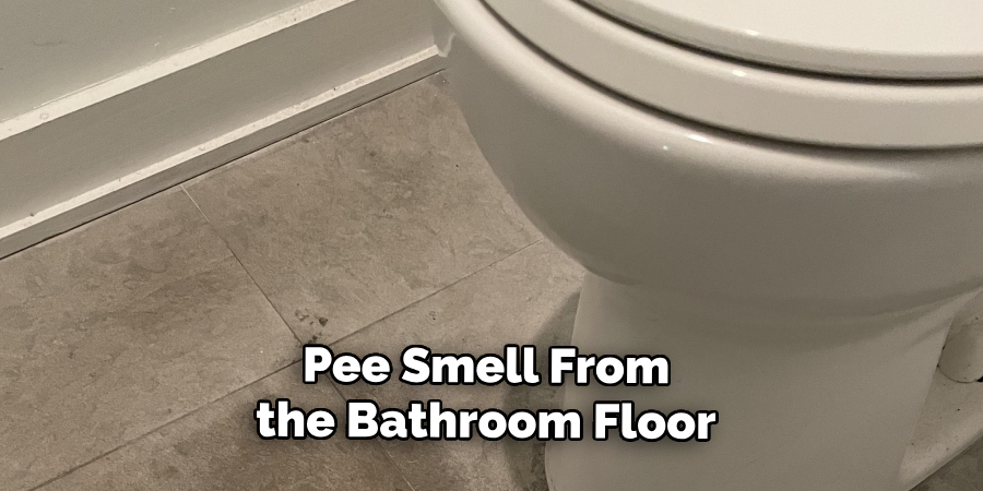 Pee Smell From
the Bathroom Floor