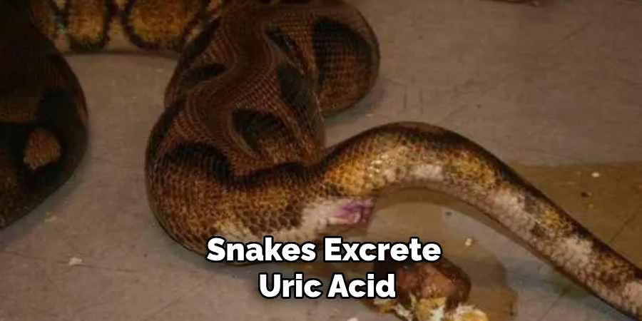 Snakes Excrete
 Uric Acid