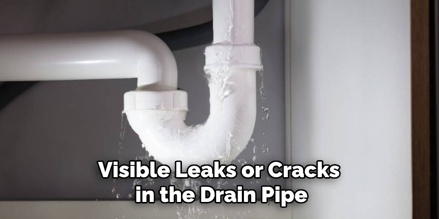 Visible Leaks or Cracks
 in the Drain Pipe