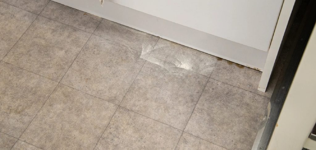 How to Clean Poop Off Bathroom Floor