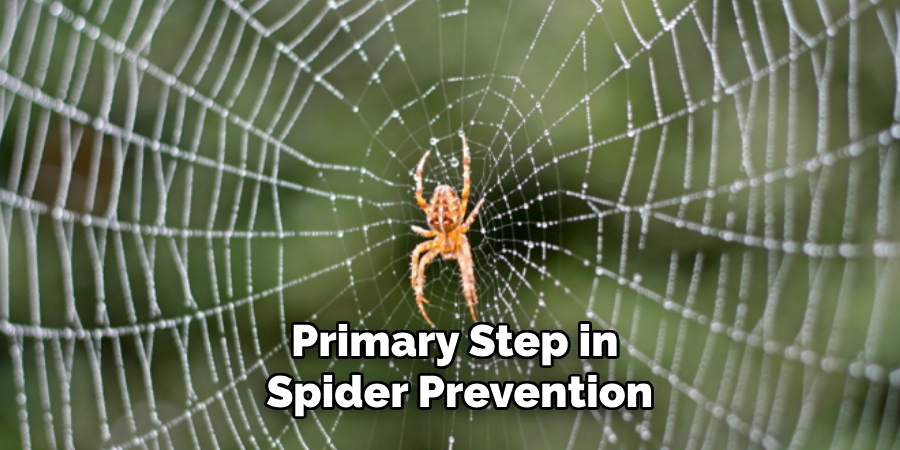 Primary Step in 
Spider Prevention