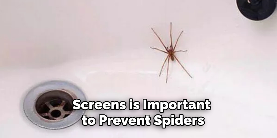 Screens is Important
 to Prevent Spiders