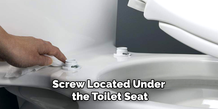 Screw Located Under
 the Toilet Seat