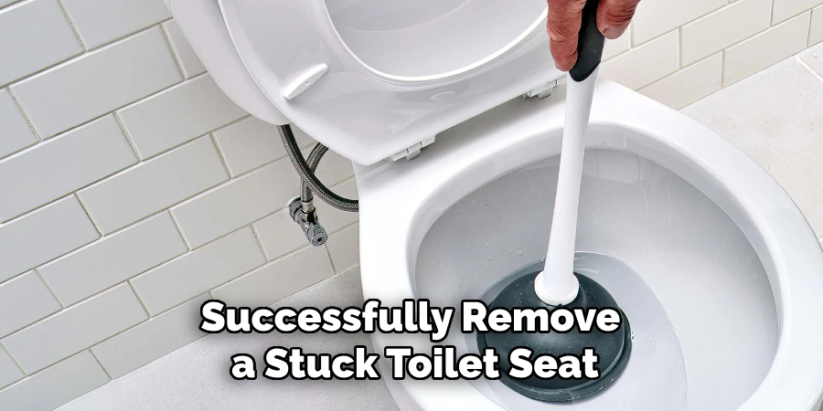 Successfully Remove
 a Stuck Toilet Seat