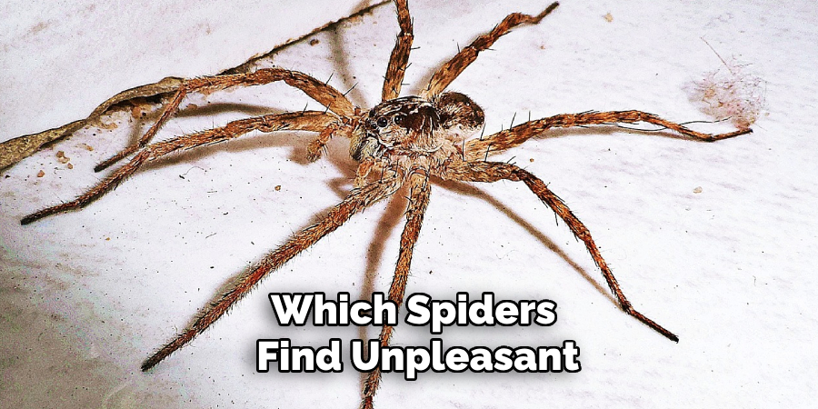 Which Spiders 
Find Unpleasant