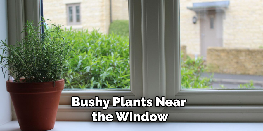 Bushy Plants Near 
the Window