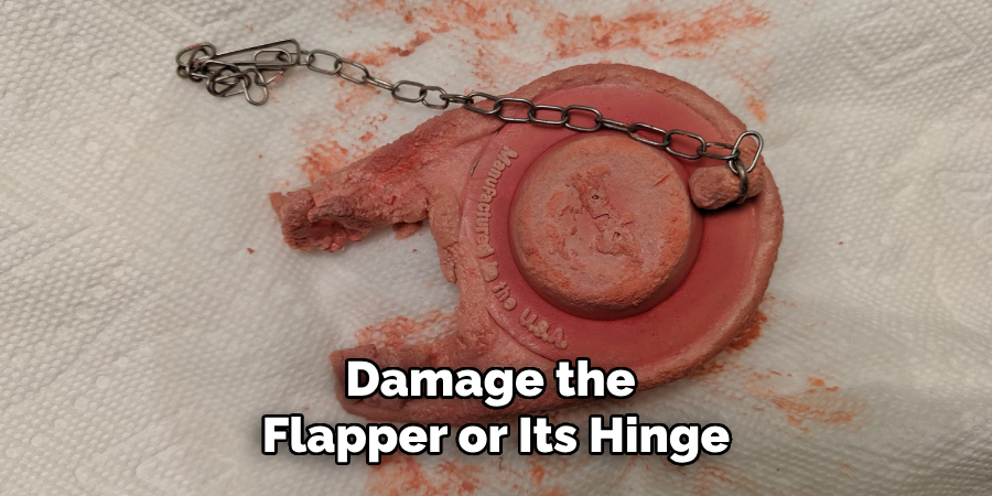 Damage the 
Flapper or Its Hinge