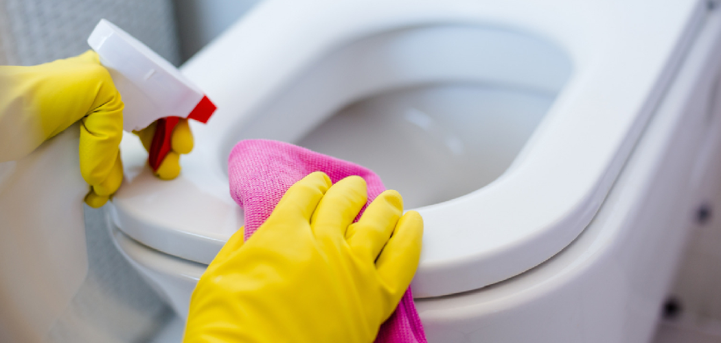 How to Clean Toilet Drains