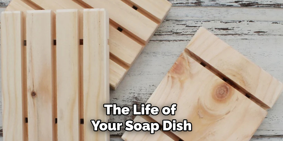 The Life of
Your Soap Dish