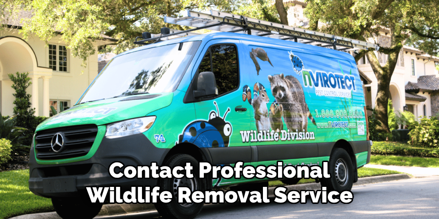 Contact Professional
Wildlife Removal Service