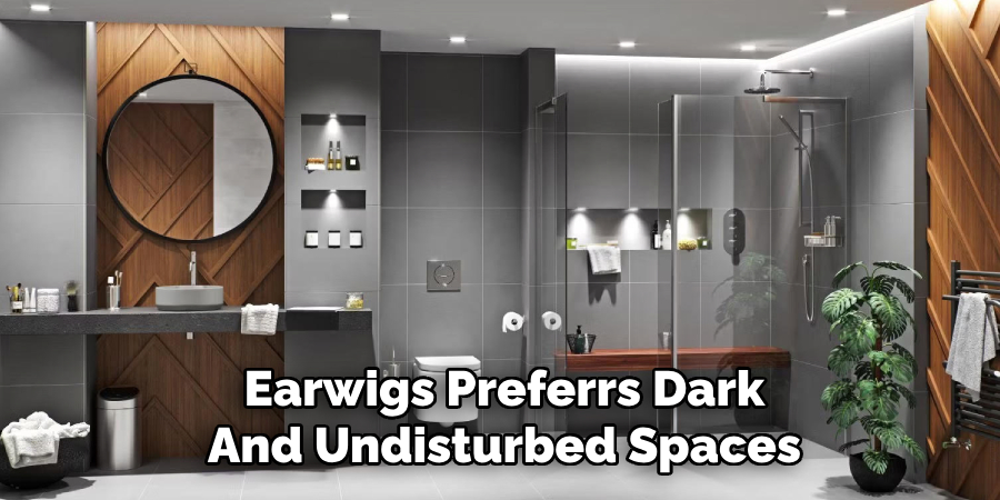 Earwigs Preferrs Dark
And Undisturbed Spaces