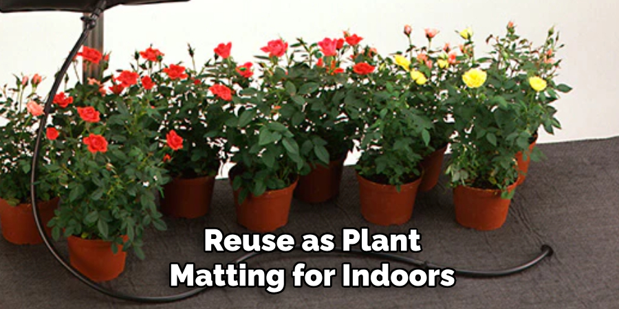Reuse as Plant
Matting for Indoors