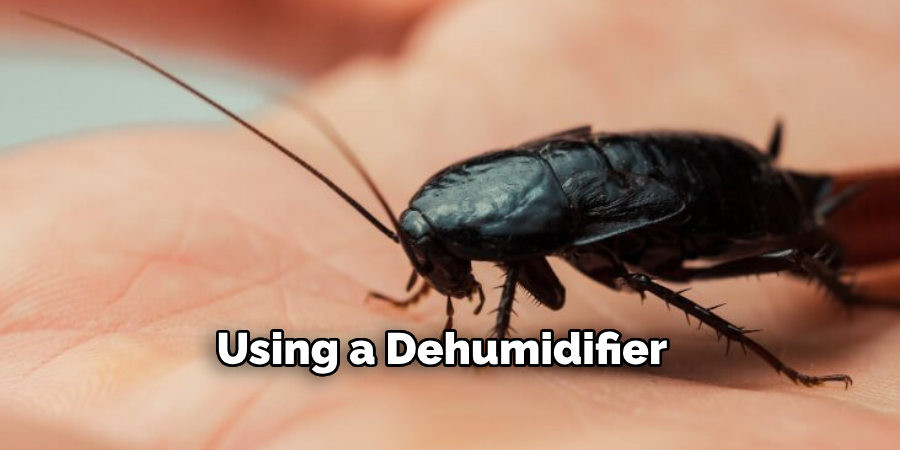 Using a Dehumidifier