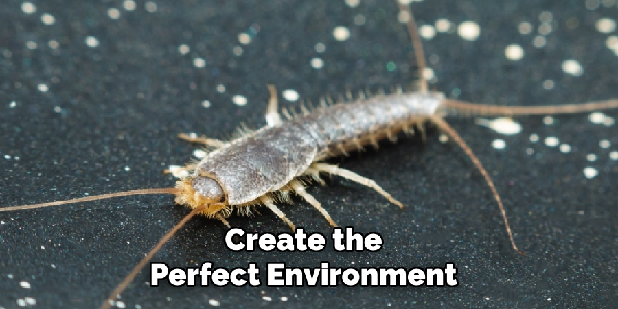 create the perfect environment