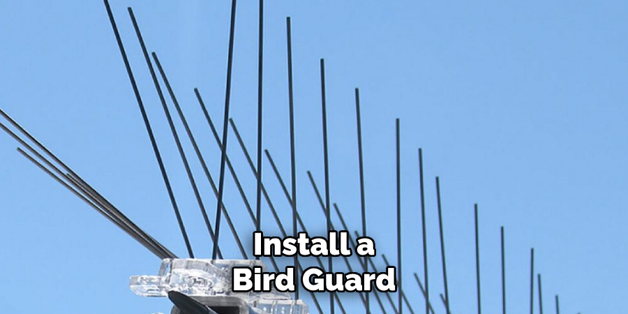 Install a Bird Guard