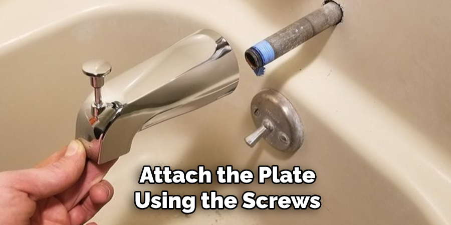 Attach the Plate Using the Screws
