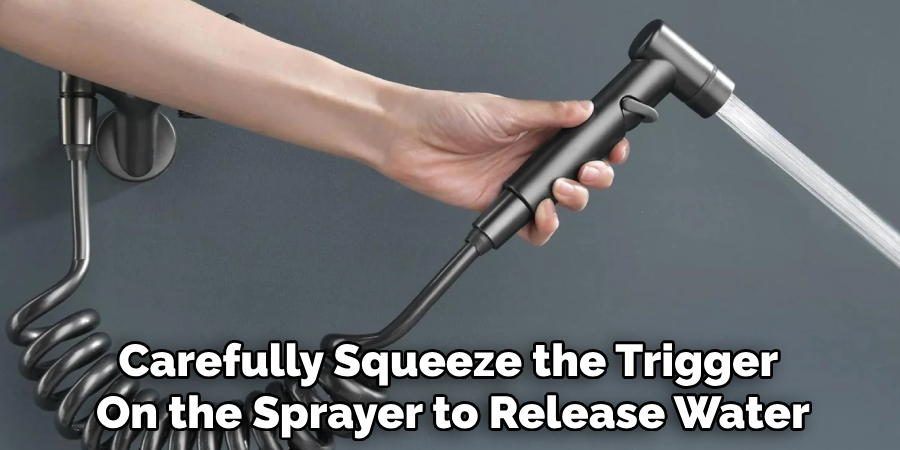 Carefully Squeeze the Trigger 
On the Sprayer to Release Water