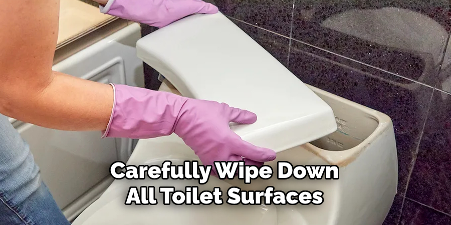 Carefully Wipe Down All Toilet Surfaces