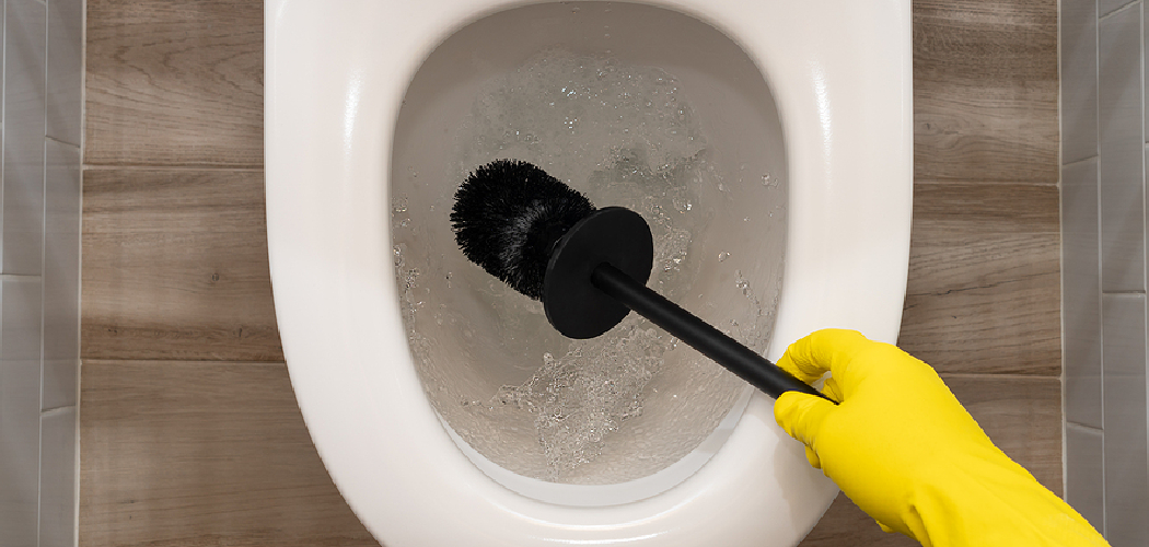 How to Clean a Saniflo Toilet