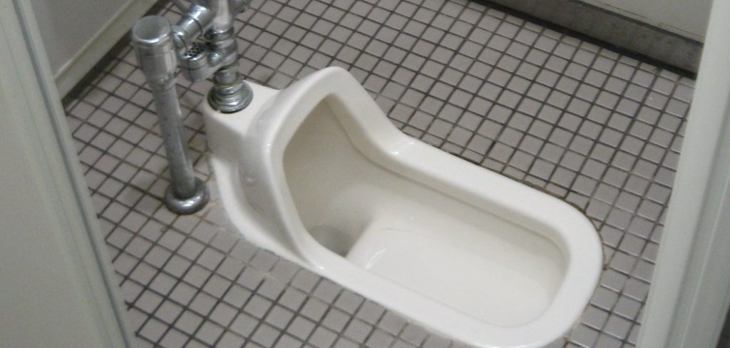 How to Use an Asian Toilet