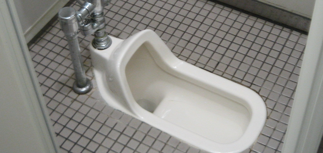 How to Use an Asian Toilet