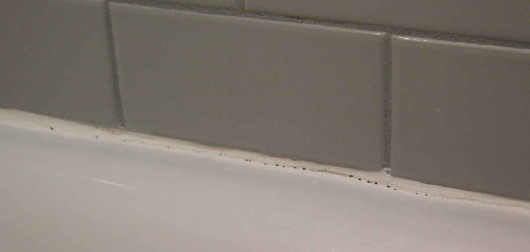 How to Caulk Around a Toilet