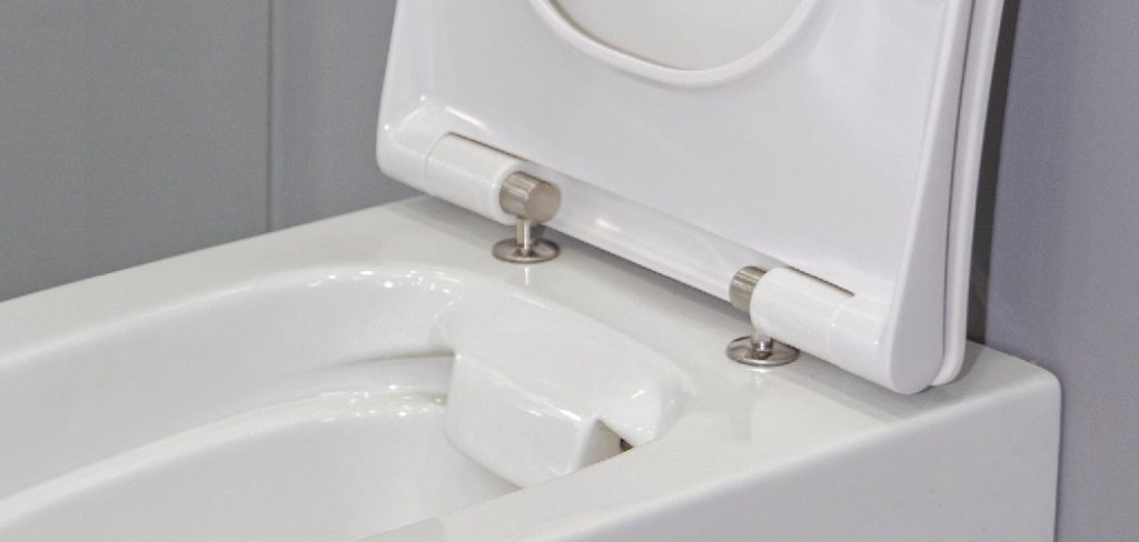How to Change Toilet Seat Hinges