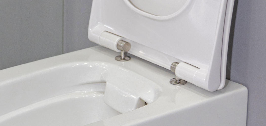 How to Change Toilet Seat Hinges