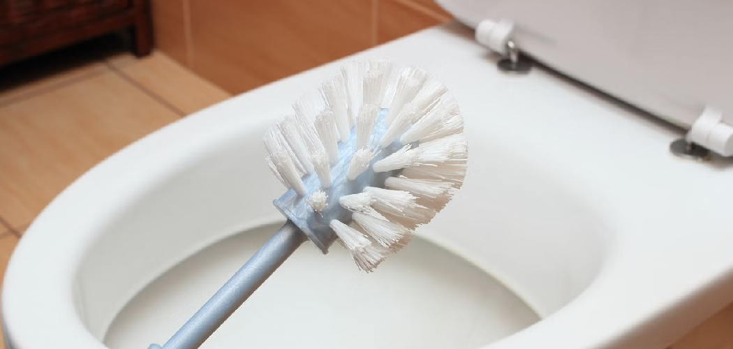 How to Clean Toilet Brush